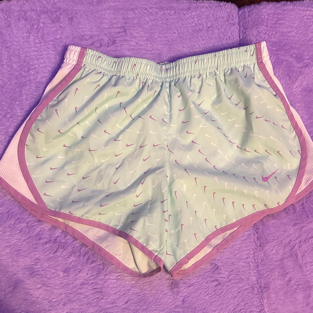 Nike Mint and Lavender Athletic Shorts